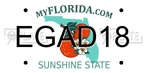 EGAD18 Florida License Plate