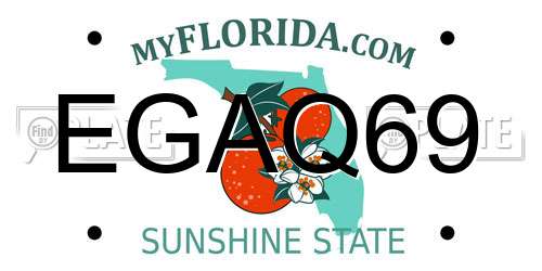 EGAQ69 Florida License Plate