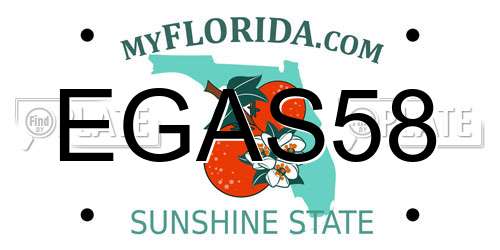 EGAS58 Florida License Plate