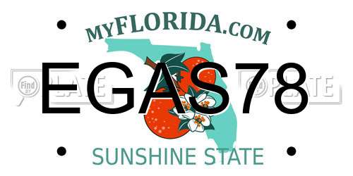 EGAS78 Florida License Plate