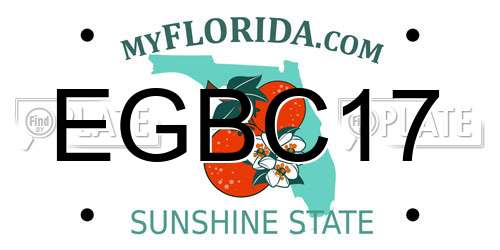 EGBC17 Florida License Plate