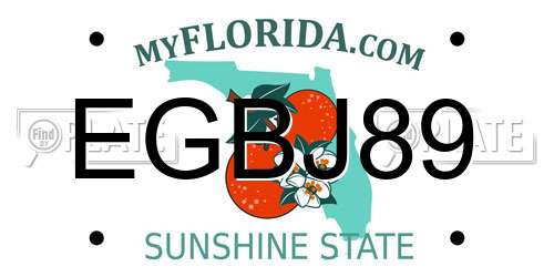 EGBJ89 Florida License Plate