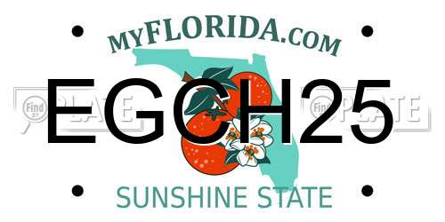 EGCH25 Florida License Plate