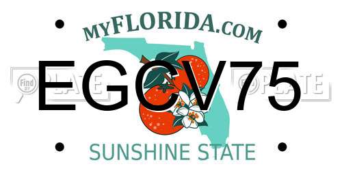 EGCV75 Florida License Plate