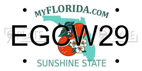 EGCW29 Florida License Plate