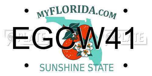 EGCW41 Florida License Plate