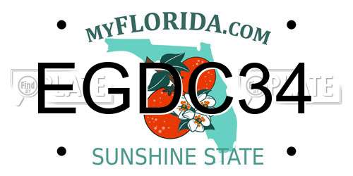 EGDC34 Florida License Plate