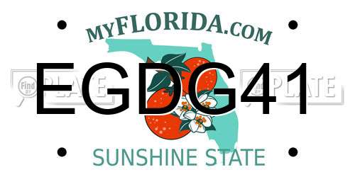 EGDG41 Florida License Plate