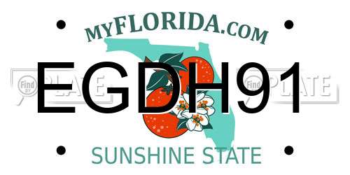 EGDH91 Florida License Plate