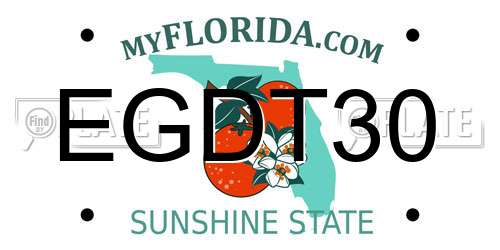 EGDT30 Florida License Plate
