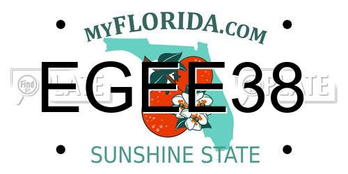 EGEE38 Florida License Plate