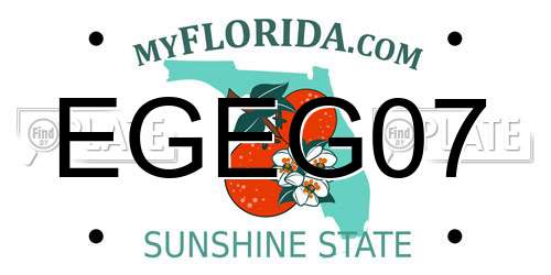 EGEG07 Florida License Plate