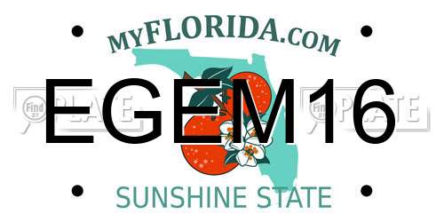 EGEM16 Florida License Plate