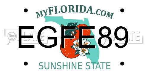 EGFE89 Florida License Plate