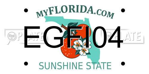 EGFI04 Florida License Plate