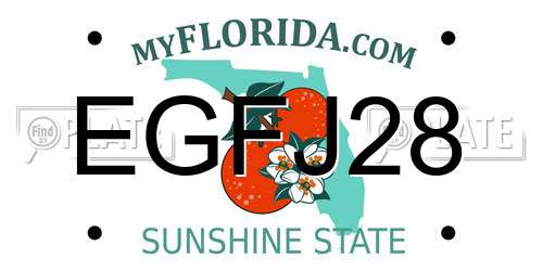 EGFJ28 Florida License Plate