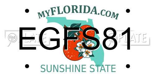 EGFS81 Florida License Plate