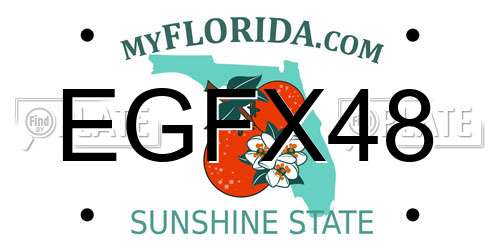EGFX48 Florida License Plate