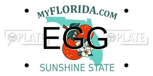 EGG Florida License Plate