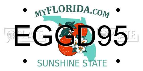EGGD95 Florida License Plate
