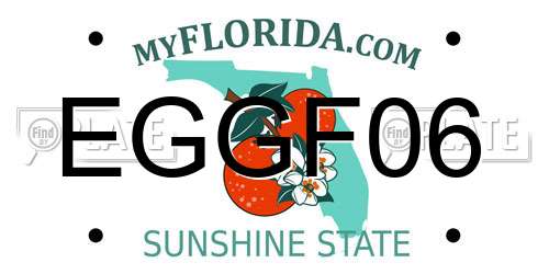EGGF06 Florida License Plate