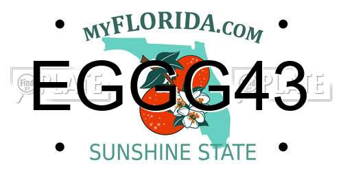 EGGG43 Florida License Plate