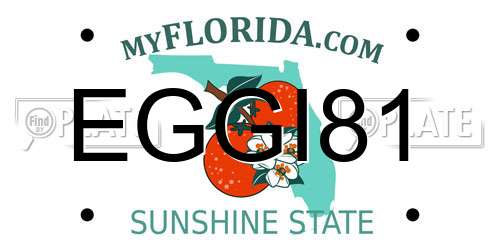 EGGI81 Florida License Plate