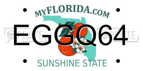 EGGQ64 Florida License Plate