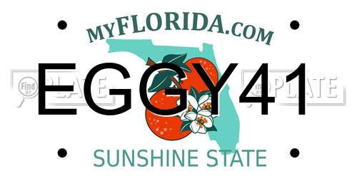 EGGY41 Florida License Plate