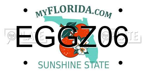 EGGZ06 Florida License Plate