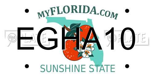 EGHA10 Florida License Plate