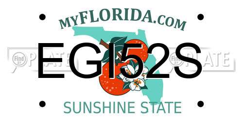 EGI52S Florida License Plate