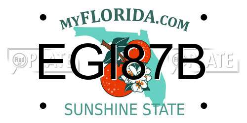EGI87B Florida License Plate
