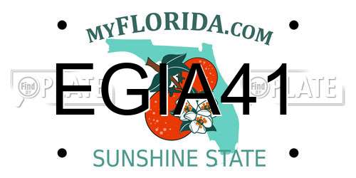 EGIA41 Florida License Plate