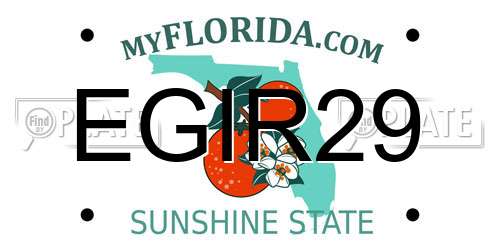 EGIR29 Florida License Plate