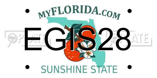 EGIS28 Florida License Plate