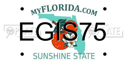 EGIS75 Florida License Plate