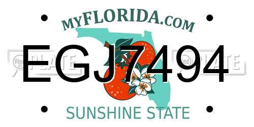 EGJ7494 Florida License Plate
