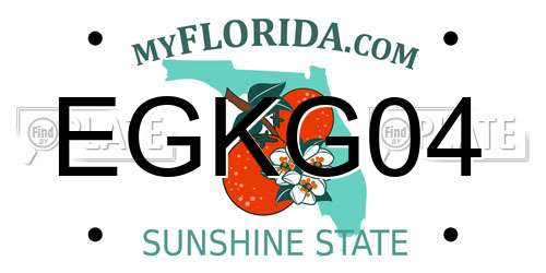EGKG04 Florida License Plate