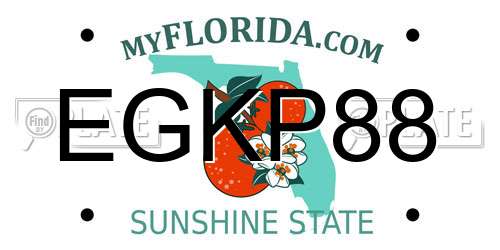 EGKP88 Florida License Plate