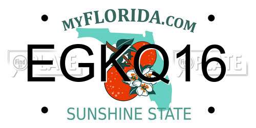 EGKQ16 Florida License Plate
