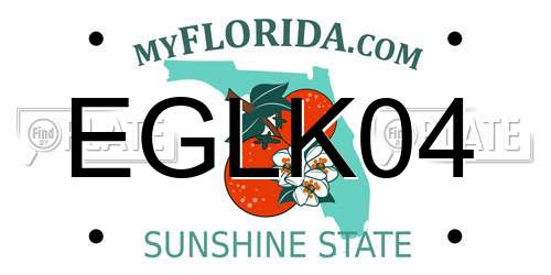 EGLK04 Florida License Plate