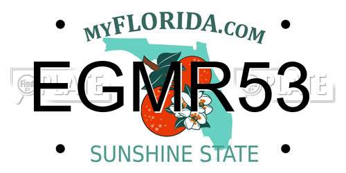 EGMR53 Florida License Plate