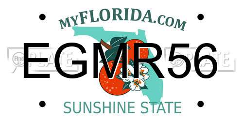 EGMR56 Florida License Plate