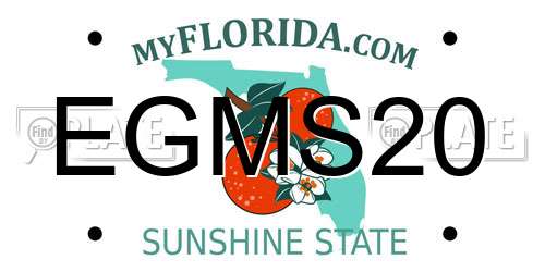 EGMS20 Florida License Plate