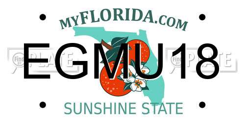 EGMU18 Florida License Plate