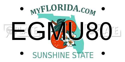 EGMU80 Florida License Plate
