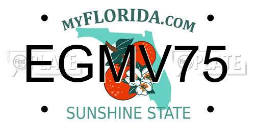 EGMV75 Florida License Plate