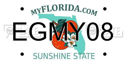 EGMY08 Florida License Plate