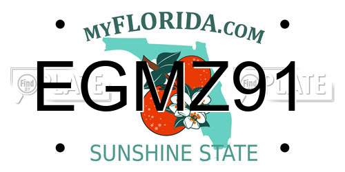 EGMZ91 Florida License Plate